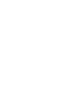 Heart illustration